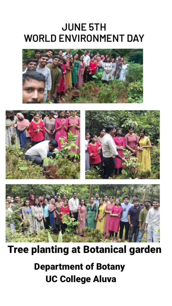 World Environment day 2022