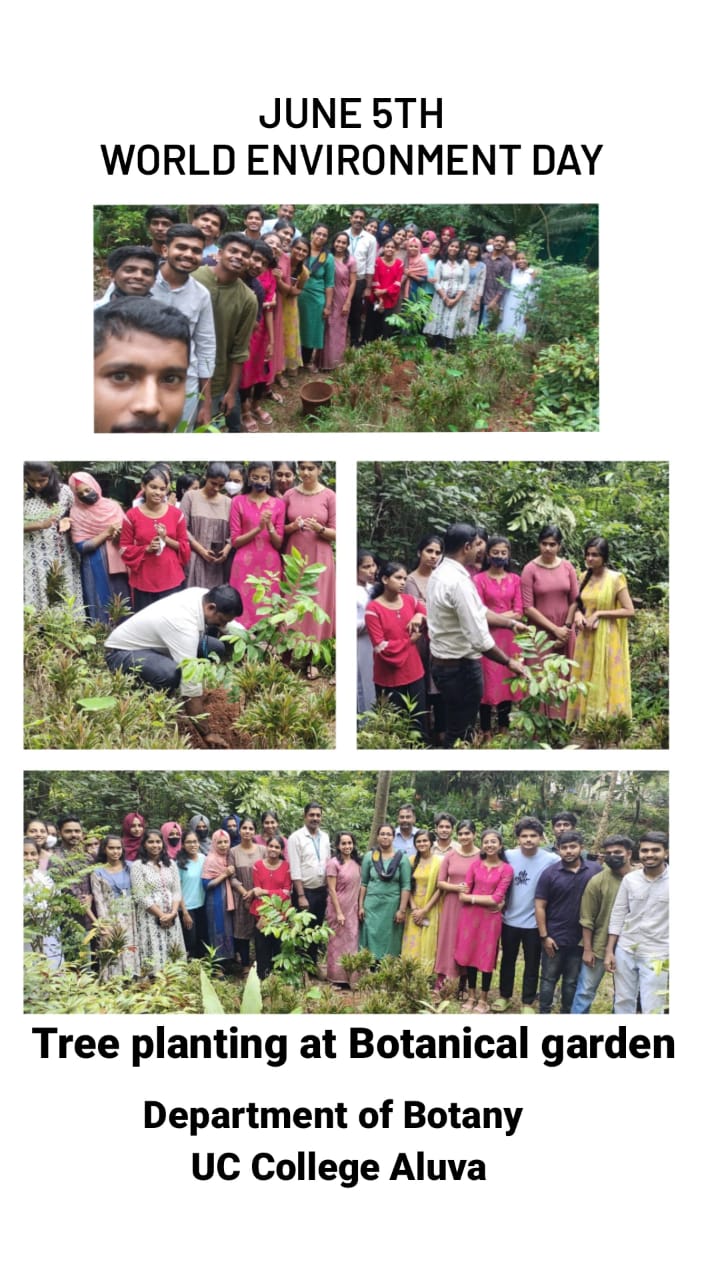 World Environment day 2022