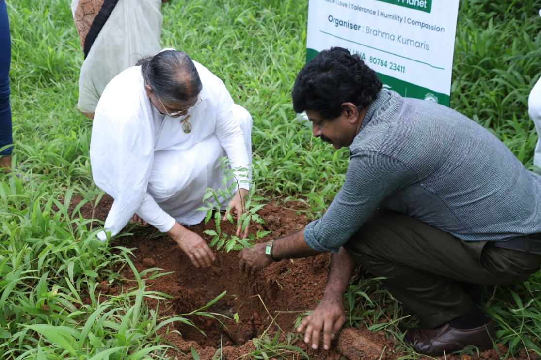 വൃക്ഷത്തൈകൾ നട്ടു