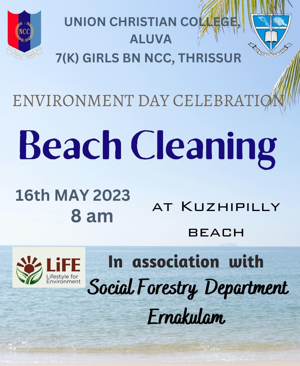 Beach Cleaning