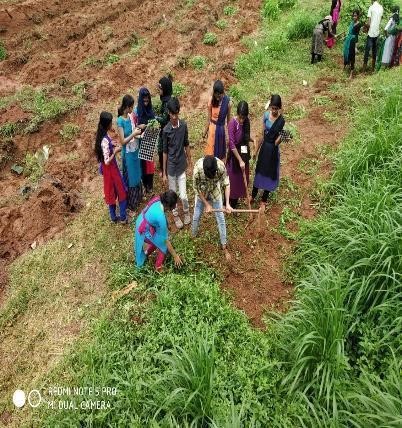 VAZHAKKANNU- VEGETABLE GARDENING