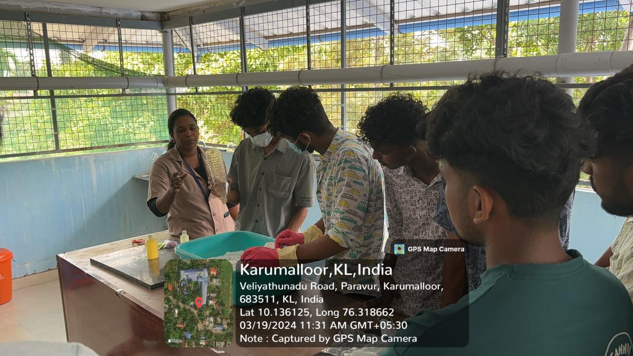 Workshop on Soap and Soap Powder Making